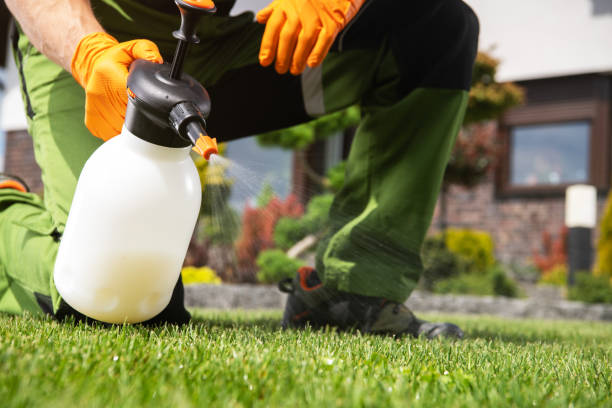 Best Residential Pest Control  in Lakewood Ranch, FL