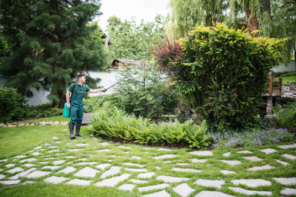 Best Best Pest Control Companies  in Lakewood Ranch, FL