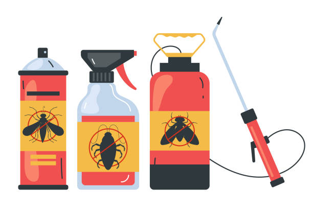 Flea Control Services in Lakewood Ranch, FL