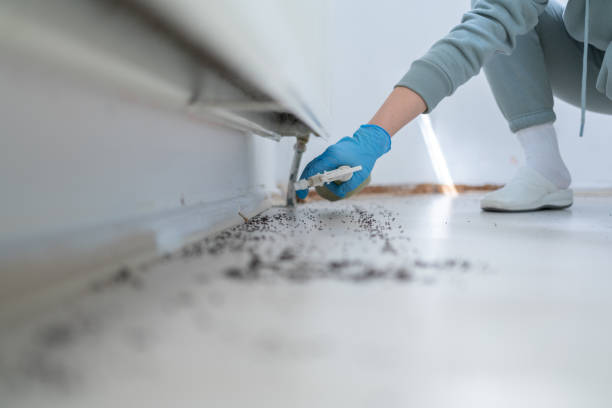 Professional Pest Control in Lakewood Ranch, FL