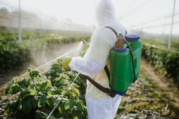 Best Affordable Pest Control Services  in Lakewood Ranch, FL